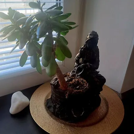 Lovely Flat In A Great Location * Košice